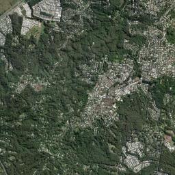 Buderim High Resolution Satellite Map