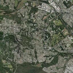 Alexandra Headland High Resolution Satellite Map