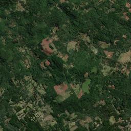 Departamento de Leandro N. Alem High Resolution Satellite Map