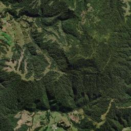 Bom Retiro High Resolution Satellite Map