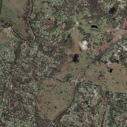 Cedar Grove High Resolution Satellite Map