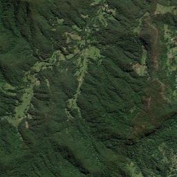 Tallebudgera Valley High Resolution Satellite Map