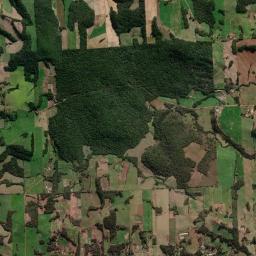 Nova Bassano High Resolution Satellite Map