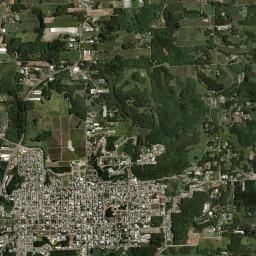 Flores da Cunha High Resolution Satellite Map