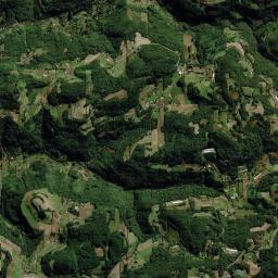 Boa Vista do Sul High Resolution Satellite Map