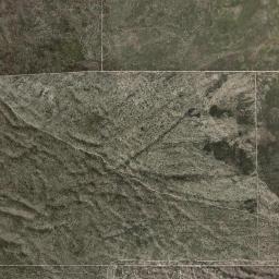 Regans Ford High Resolution Satellite Map