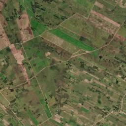 Tavares High Resolution Satellite Map