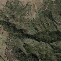 Muswellbrook High Resolution Satellite Map