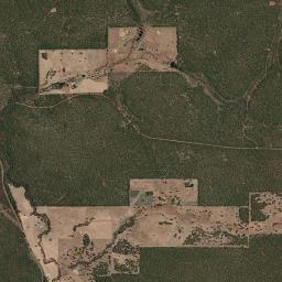 Collie High Resolution Satellite Map