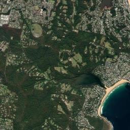 Avoca Beach High Resolution Satellite Map