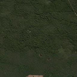 Manjimup High Resolution Satellite Map