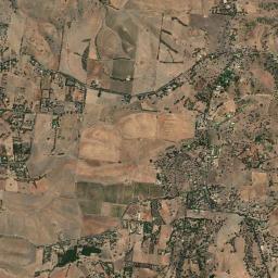 One Tree Hill High Resolution Satellite Map