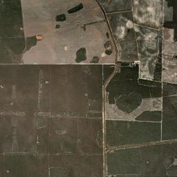 Albany High Resolution Satellite Map