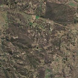 Carwoola High Resolution Satellite Map