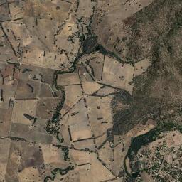 Aerial view of Reedy Creek