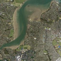 Tamaki High Resolution Satellite Map