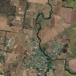 Carisbrook High Resolution Satellite Map