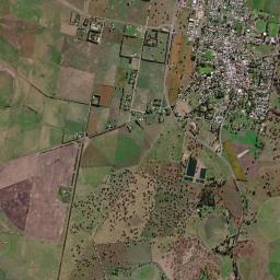 Penola High Resolution Satellite Map