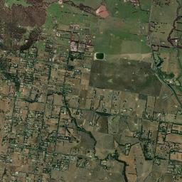 Eden Park High Resolution Satellite Map