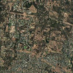 Diamond Creek High Resolution Satellite Map