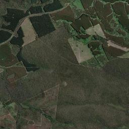 Glenelg High Resolution Satellite Map