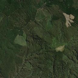 Dorset High Resolution Satellite Map