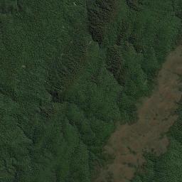 Waratah/Wynyard High Resolution Satellite Map