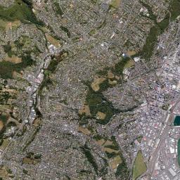 Dunedin High Resolution Satellite Map