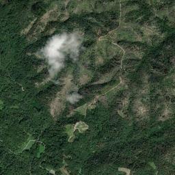 Mappa catastale e vista satellitare Villa del Bosco (L933)