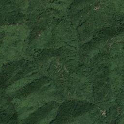 Mappa catastale e vista satellitare Roletto (H498)