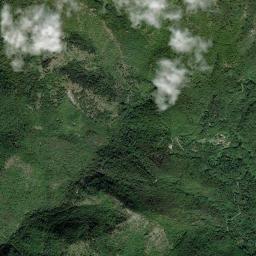 Mappa catastale e vista satellitare Erli (D424)