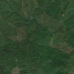 Mappa catastale e vista satellitare Montieri (F677)