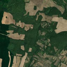Mappa catastale e vista satellitare Castel Giorgio (C117)