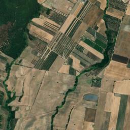 Mappa catastale e vista satellitare Arlena di Castro (A412)