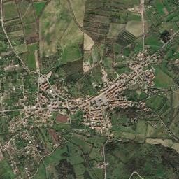 Mappa catastale e vista satellitare Monte Romano (F603)