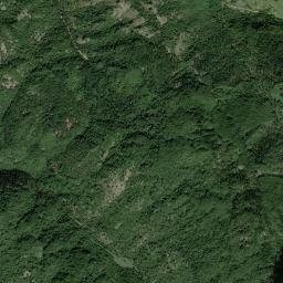 Mappa catastale e vista satellitare Cerreto Laziale (C518)