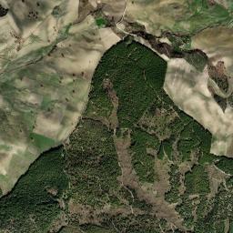 Mappa catastale e vista satellitare Carlantino (B784)