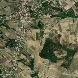 Mappa catastale e vista satellitare Trevico (L399)