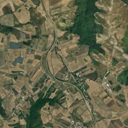 Mappa catastale e vista satellitare Filiano (D593)