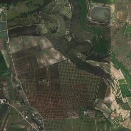 Mappa catastale e vista satellitare Montemesola (F563)