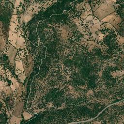 Mappa catastale e vista satellitare Nule (F976)