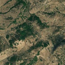 Mappa catastale e vista satellitare Sarule (I448)