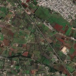 Mappa catastale e vista satellitare Salve (H729)