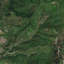 Mappa catastale e vista satellitare Sorbo San Basile (I844)