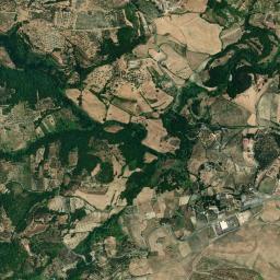 Mappa catastale e vista satellitare Argusto (A397)