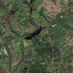 Mappa catastale e vista satellitare Francica (D767)