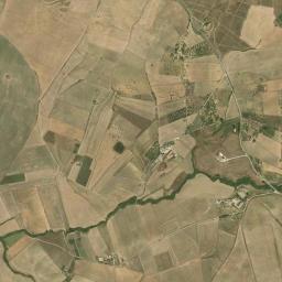 Mappa catastale e vista satellitare Alia (A195)