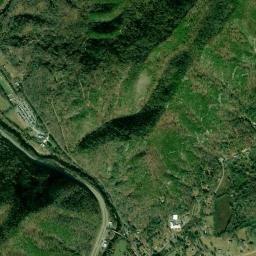 245 E Millers Cove Rd, Walland, TN 37886 Satellite Map