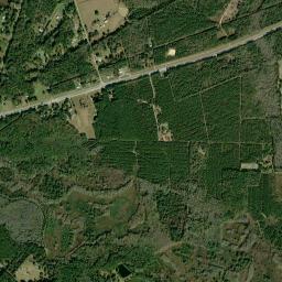 Fleming Loop Road, Fleming, GA 31309, USA Satellite Map