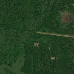 Satellite view of a wooded Southeastern property with internal access road and wildlife openings